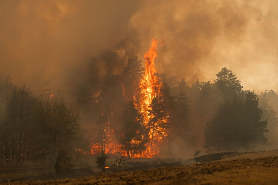 Kein Durchatmen! NRW-Feuerwehren bei nächstem Waldbrand im Einsatz