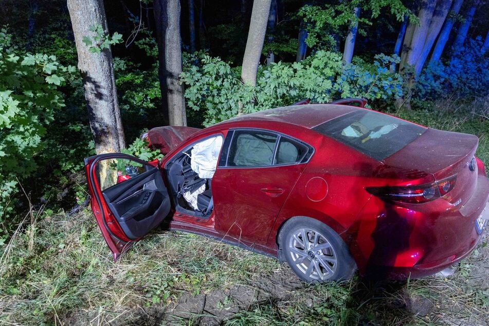 Das Auto stieß frontal gegen einen Baum.