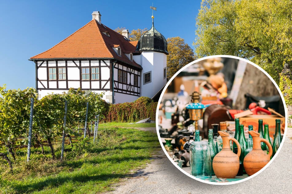 Dresden: Das ist am Pfingstsonntag in und um Dresden los