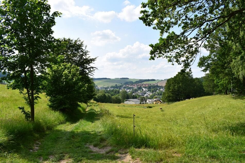 Blick auf Burkhardtsdorf: Der Abtswald ist idyllisch.