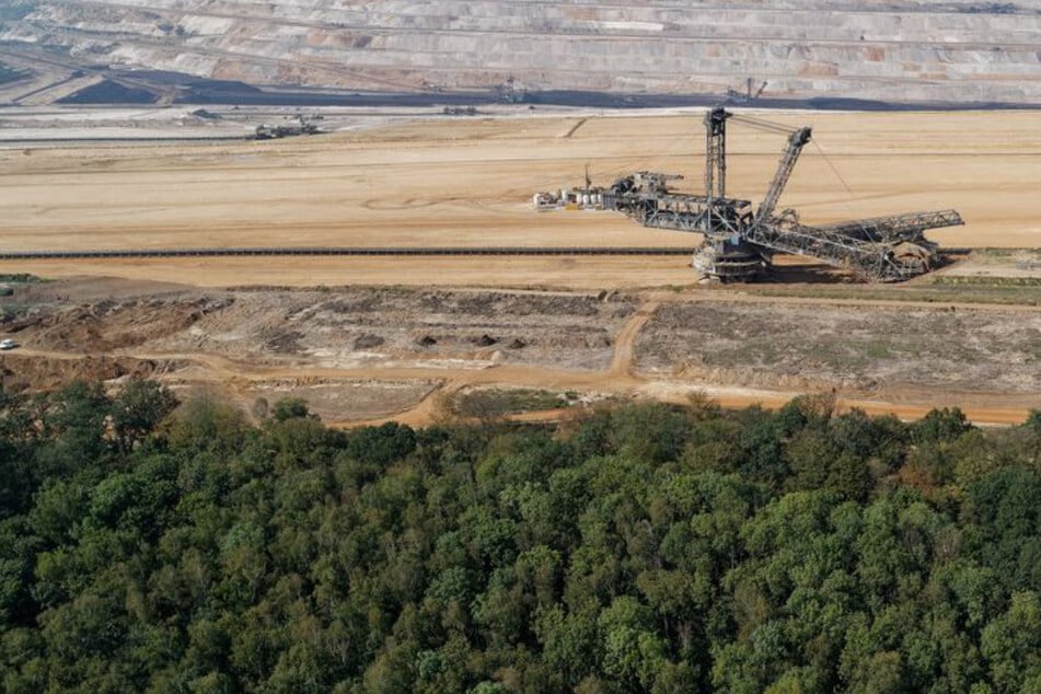 Weichen gestellt: So geht es mit dem Hambacher Forst in Zukunft weiter