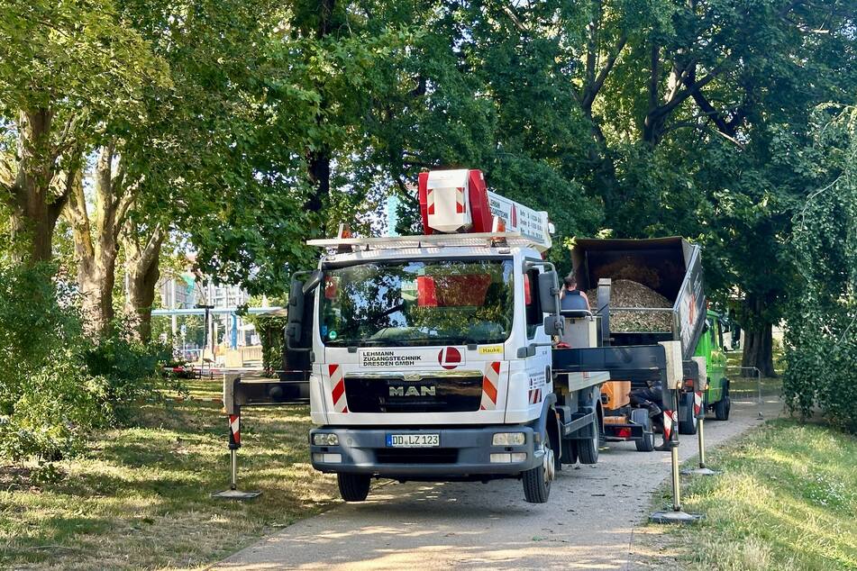 Am Nachmittag kümmerten sich Spezialisten um das gefährliche Geäst.