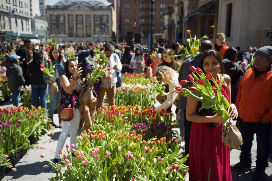 New York City's Union Square is getting a tulip takeover for spring! Here's everything you need to know to get your own free fresh flower bouquet.