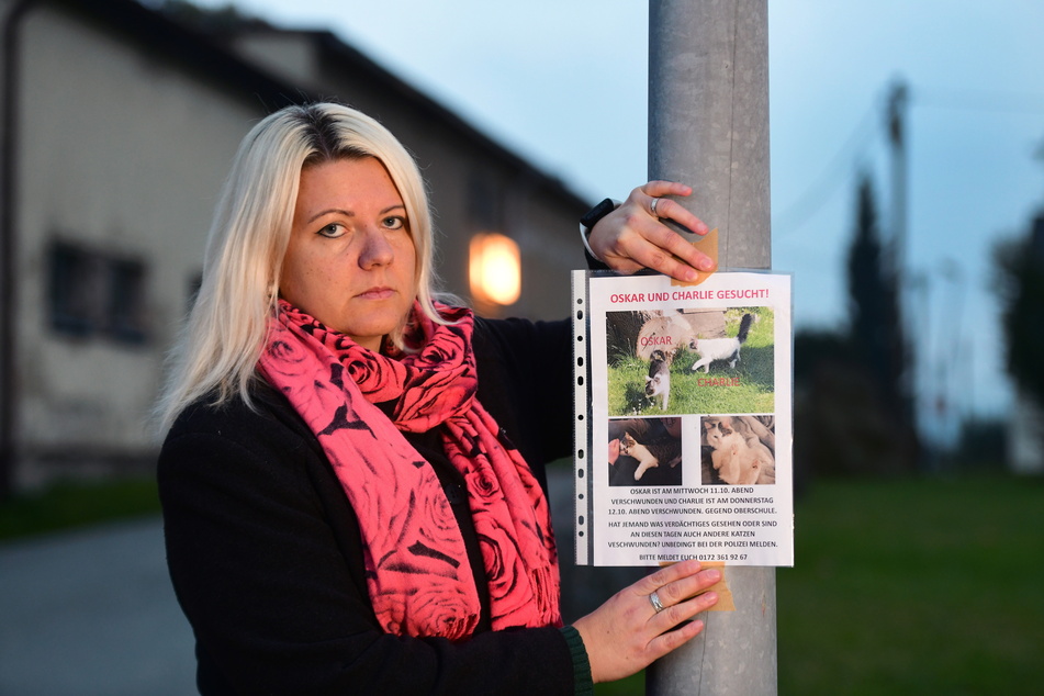 Tereza Dreßler (41) sucht verzweifelt nach ihren Katzen.