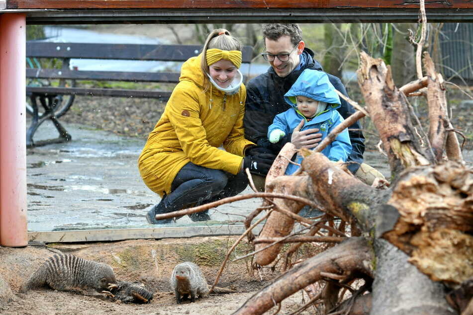Jahreskartenbesitzer Patricia (31), Ben (32) und Linus (1) haben sich lange auf einen Zoobesuch gefreut.