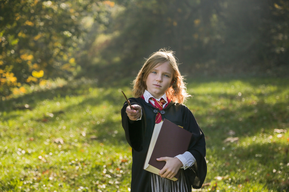 Mitten im Grünen verzaubert der Soundtrack der "Harry Potter"-Filmreihe am Mittwochabend alle Fans und Besucher der Parkbühne. (Symbolbild)