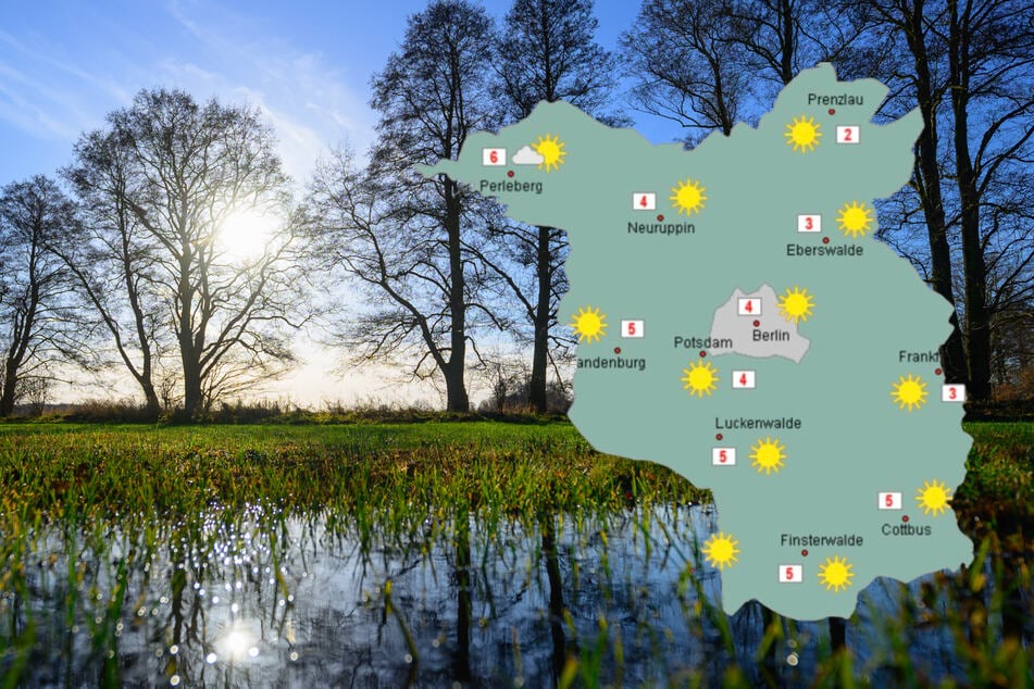Mitten im Dezember: Berlin und Brandenburg kratzen an der 10-Grad-Marke