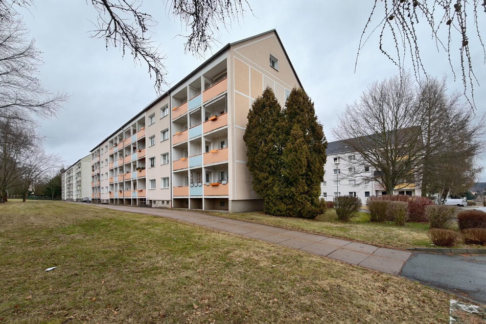 Die Taten fanden im vogtländischen Treuen statt.