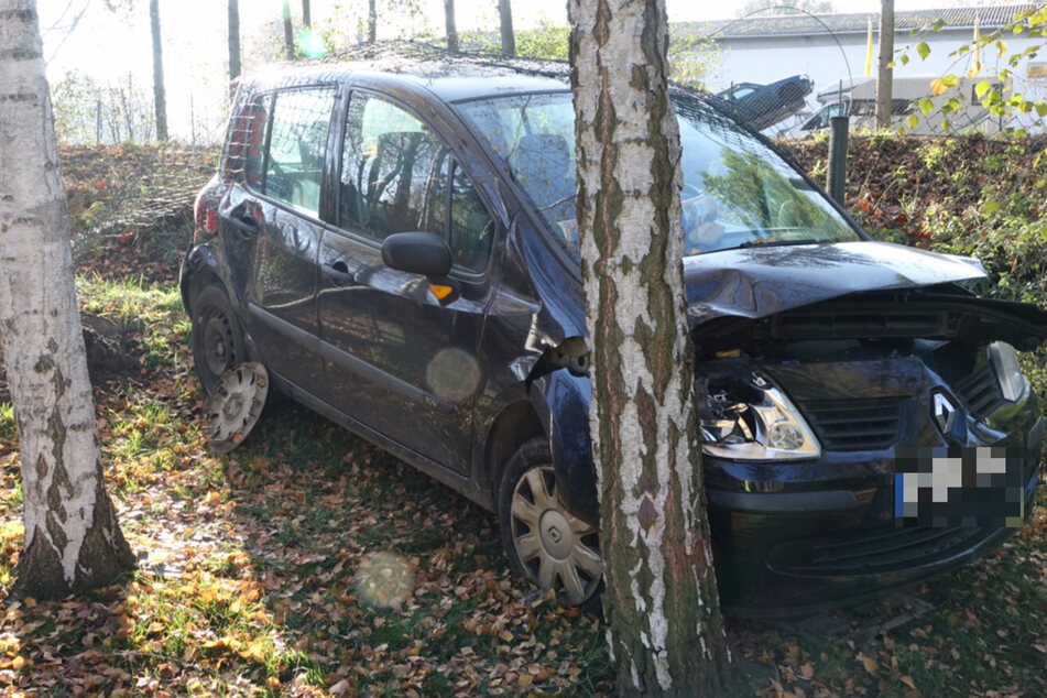Der Renault schleuderte durch die Kollision gegen einen Baum.