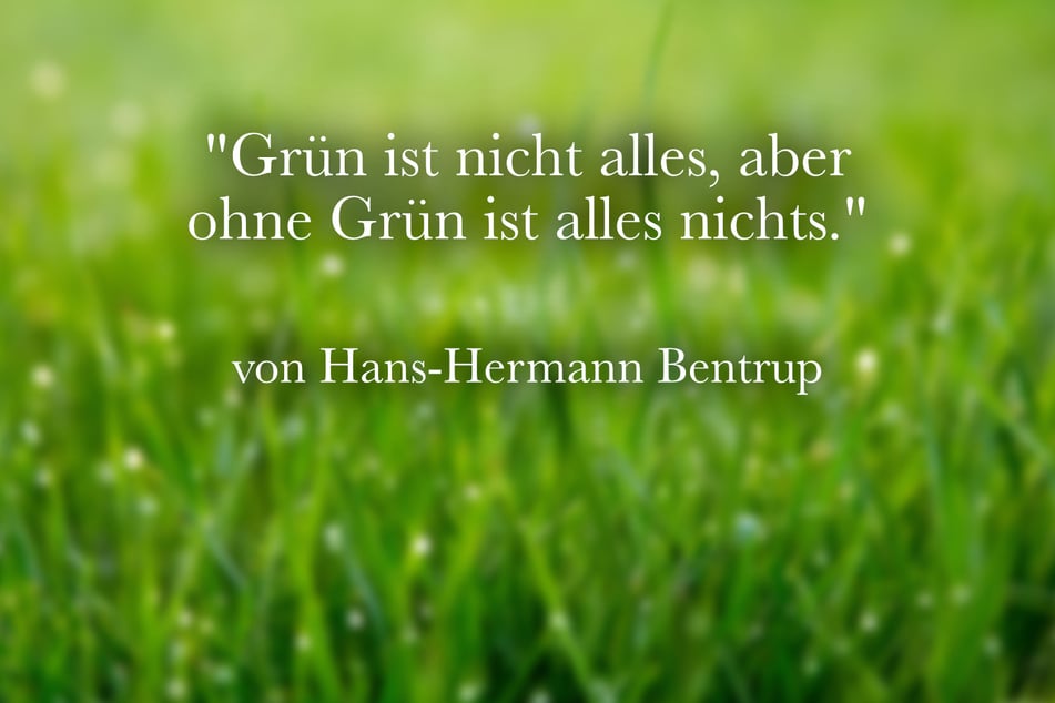 Dieser kurze Spruch für den Garten stammt von Hans-Hermann Bentrup.