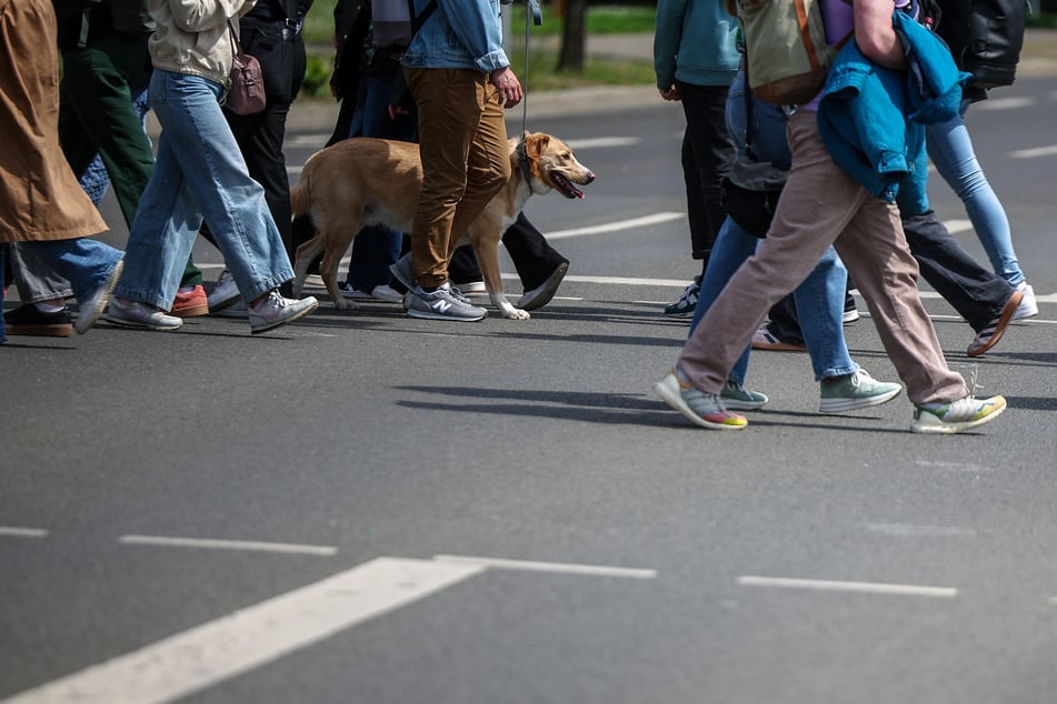 So erhält eine Vergünstigung beispielsweise, wer seinen Hund nachweislich gechippt hat. Auch Inhaber des Leipzig-Passes bekommen Rabatt.