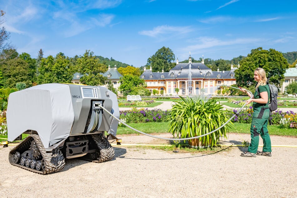 Dresden: Pillnitz gießt jetzt mit Roboter: Doch es gibt einen Haken