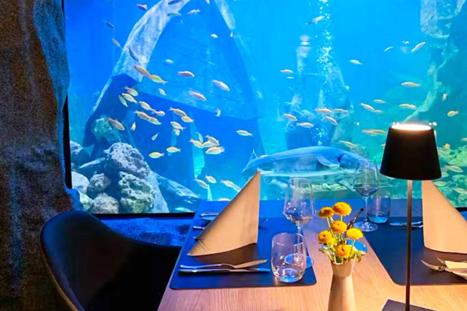 In dieser Stadt gibt's Dinner mit Unterwasser-Blick