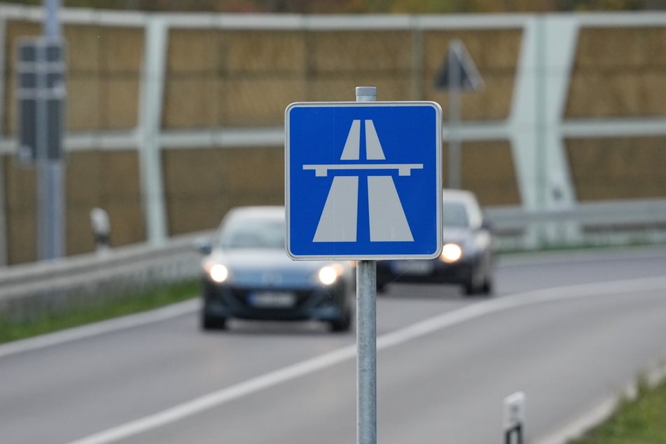 Im Saalekreis lief am Sonntag ein Hund alleine an der Autobahn lang. (Symbolfoto)