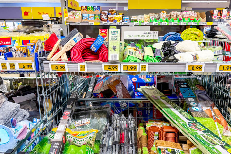 Wegen dieser Angebote rennen am Freitag (13.3.) alle zu Netto