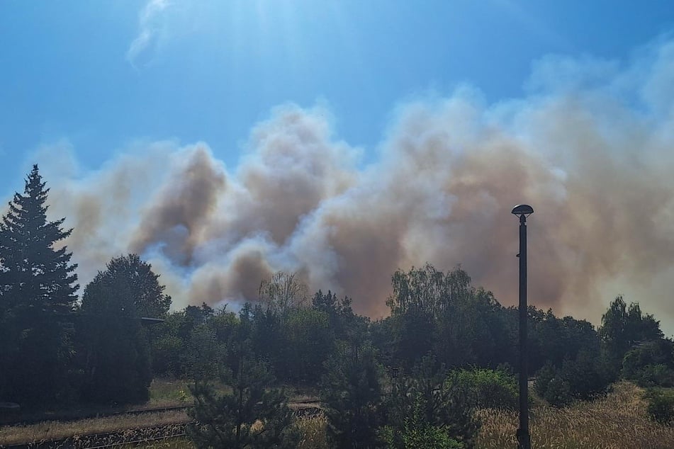 Ein Waldbrand ist am Freitag im Landkreis Wittenberg ausgebrochen.