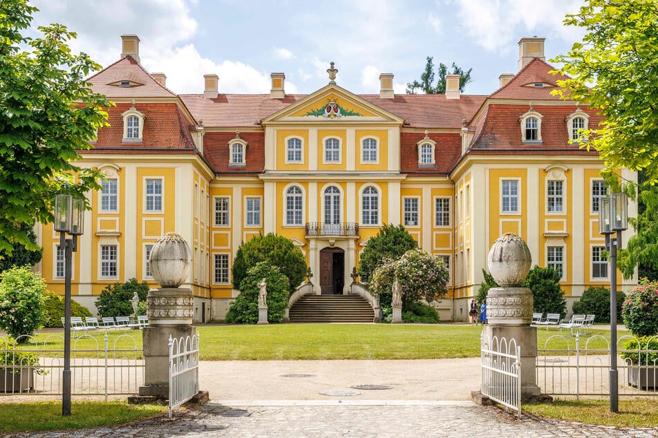 Im Barockschloss Rammenau wird heute ebenfalls der internationale Frauentag gefeiert - kommt zu Kuchen, Sekt und einer tollen Führung!
