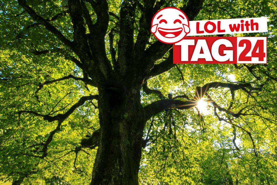 Joke of the Day for January 12, 2026: Kickstart your week with fun