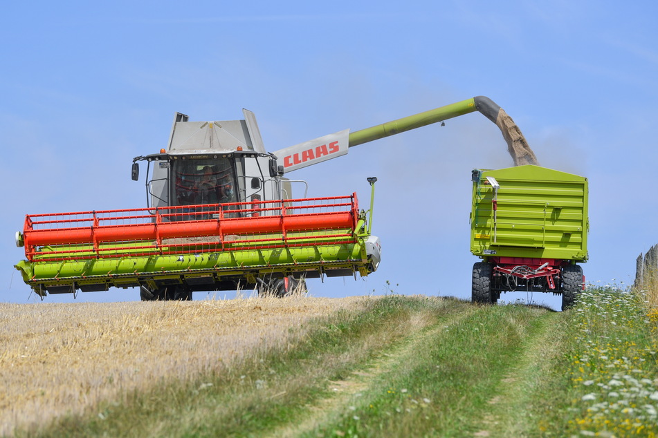 54 Prozent der sächsischen Fläche wird landwirtschaftlich genutzt. (Symbolbild)