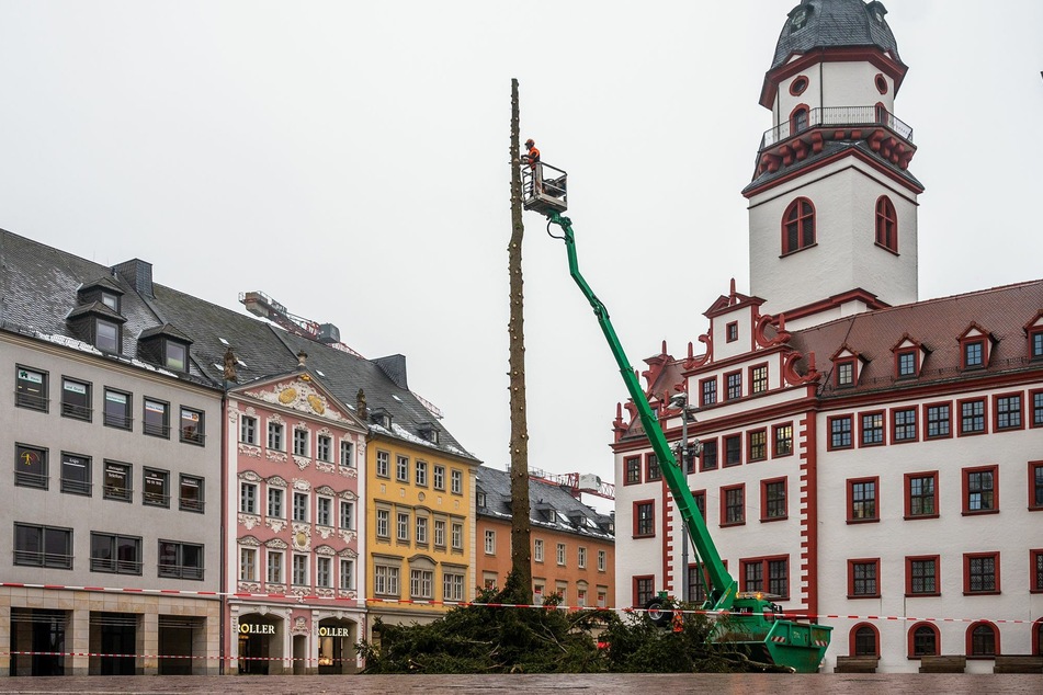 Der Chemnitzer Weihnachtsbaum wurde am Montagmittag abgetragen.