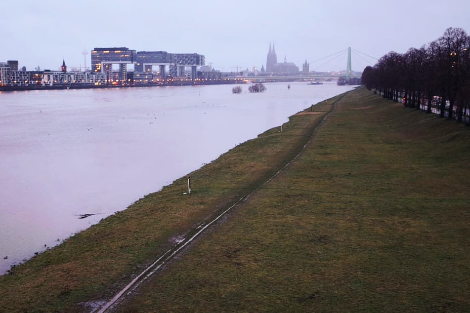 Rhein steigt weiter: Köln rüstet sich fürs Hochwasser