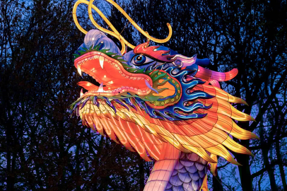 Mit den "China Lights" verwandelt sich der Kölner Zoo jeden Abend in einen romantisches und funkelndes Lichtspektakel.