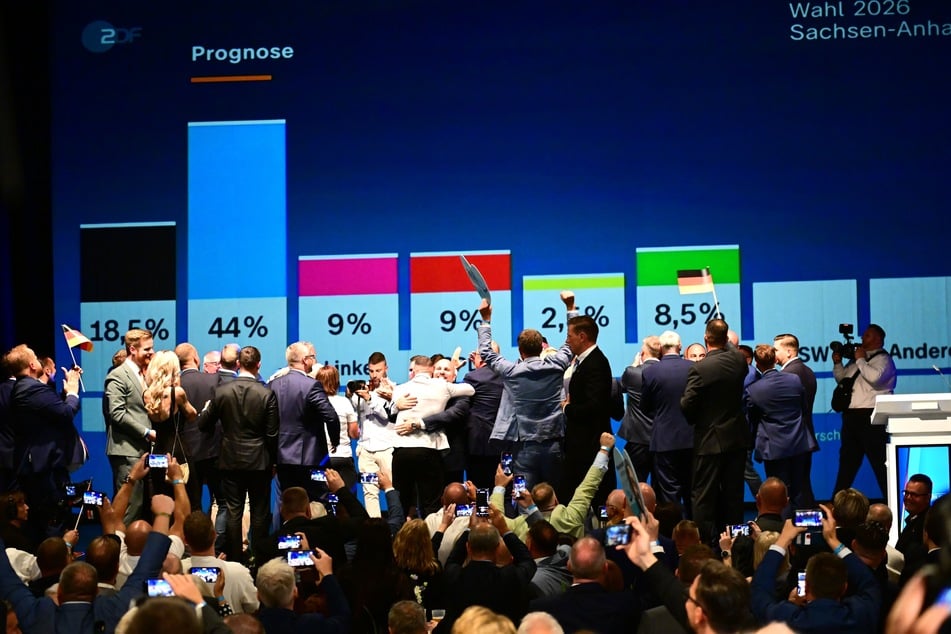 Die AfD punktet laut einer Analyse mit Unzufriedenheit und Polarisierung.