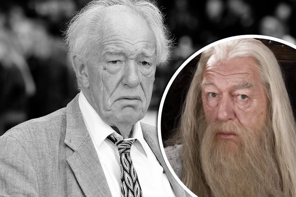 Schock für alle "Harry Potter"-Fans: Professor Dumbledore ist tot