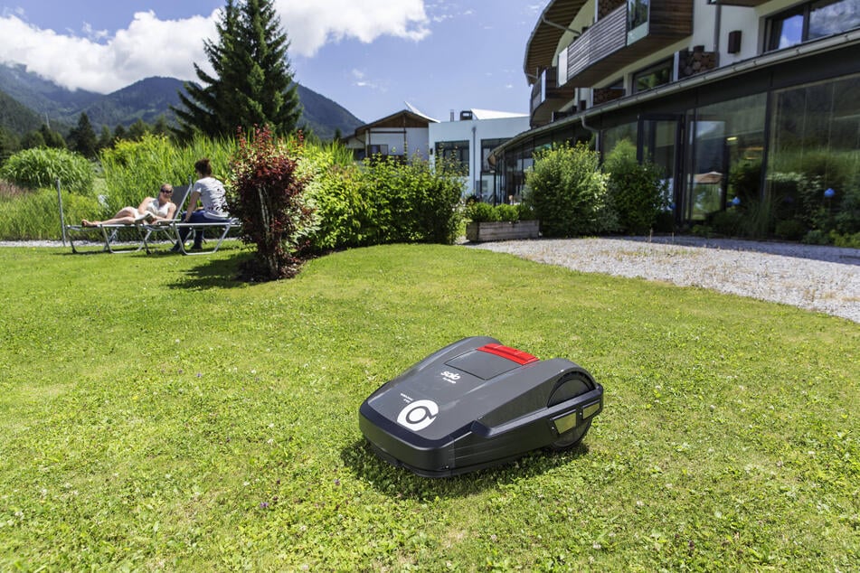 Viele handelsübliche Mähroboter erkennen Kleintiere auf dem Rasen zu spät oder gar nicht.