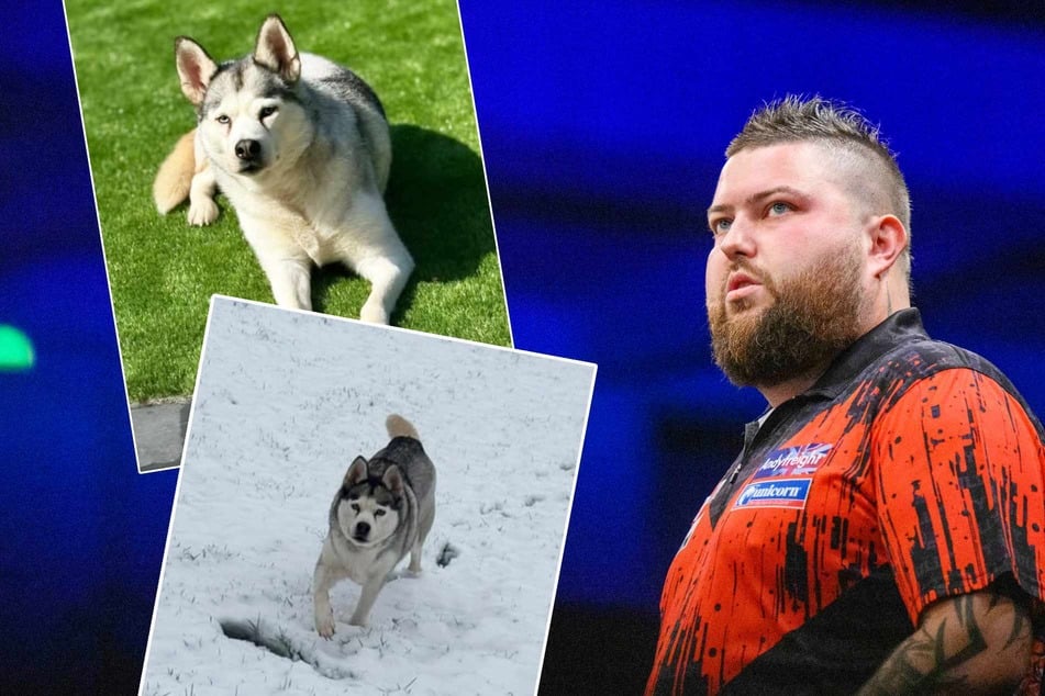 Darts-Star trauert um Husky-Dame Luna: "Unsere Herzen sind gebrochen"