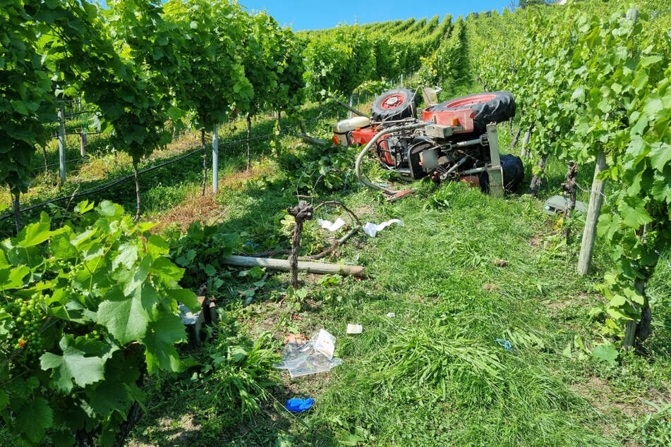 Das Wrack des Traktors am Fuße des Weinbergs.