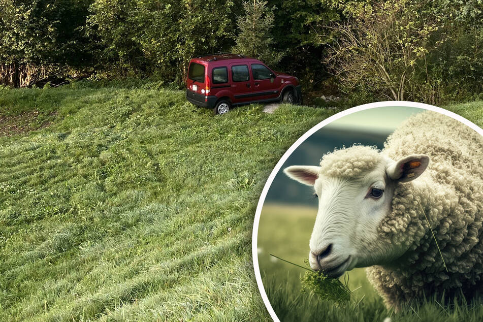 Rentner außer Rand und Band: Nächtliche Spritztour endet mit totem Schaf