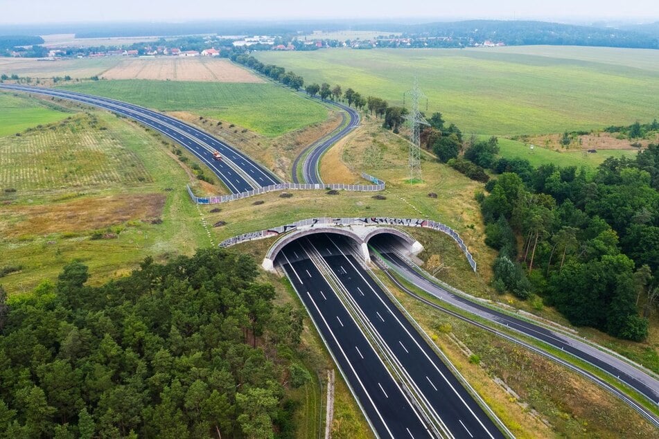 Die Grünbrücke oder Wildbrücke soll wildlebenden Tieren die Überquerung der Bundesstraße ermöglichen.