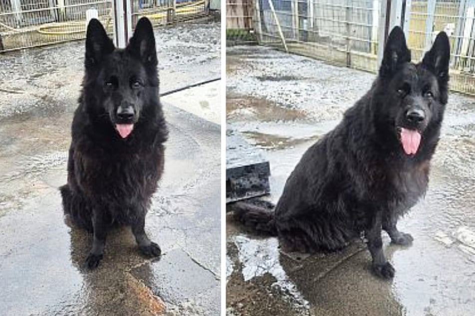 Kara sehnt sich nach einer neuen Familie - und ganz viel Liebe.