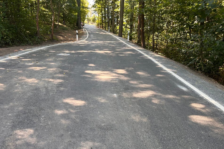 Bereits der Teil der Kreisstraße, der sich im Wald befindet, ist rundum saniert worden.
