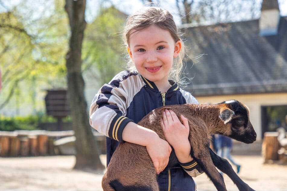 So süß! Besucherin Lotte Luise (5) kann gar nicht genug vom putzigen Nachwuchs bekommen.