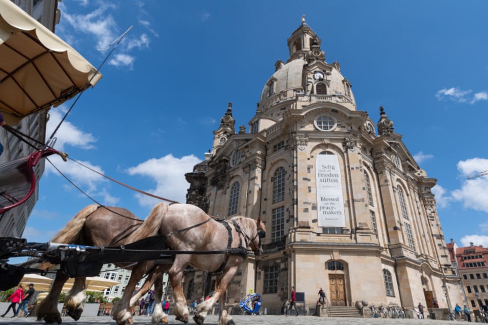 Eine Pferdekutsche in Dresden. In der Landeshauptstadt kehrt mittlerweile immer mehr Normalität ein.