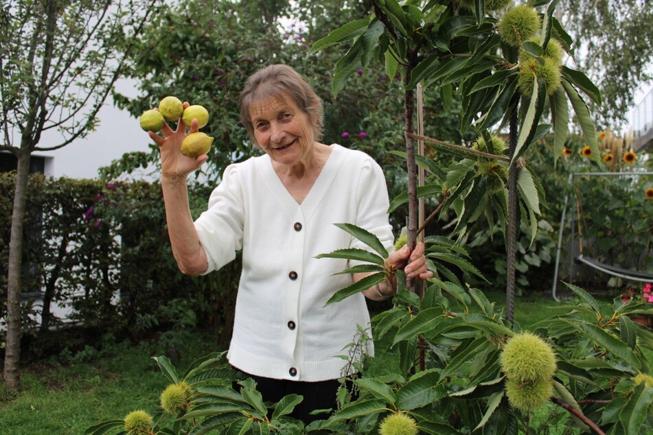Die aufgeweckte Seniorin freut sich schon auf das Land, wo auch die Zitronen blühen und Esskastanien wachsen.