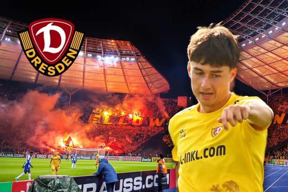 Dynamo zweimal live gesehen und infiziert: Neuzugang Covic schwärmt vom "Wahnsinn"