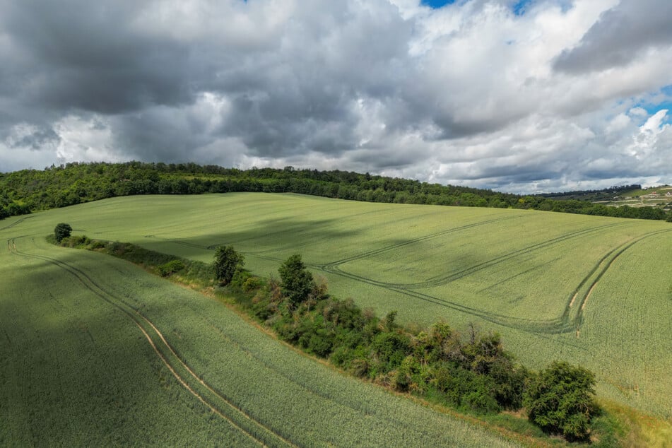 Trotz kühler Temperaturen bleibt es in Sachsen-Anhalt heiter und größtenteils niederschlagsfrei. (Symbolbild)