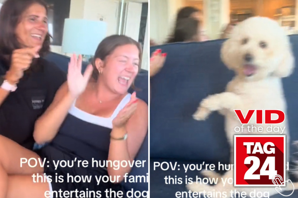 Today's Viral Video of the Day features a dog who couldn't help but be wildly entertained by his family's hilarious antics.