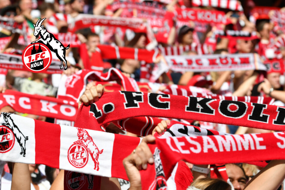 1. FC Köln startet besondere Aktion und bringt einigen Fans das Stadionerlebnis noch näher!