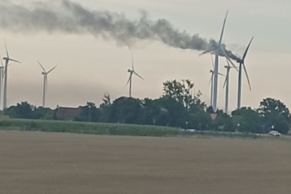 Man hat das Feuer an der B183 kontrolliert abbrennen lassen.