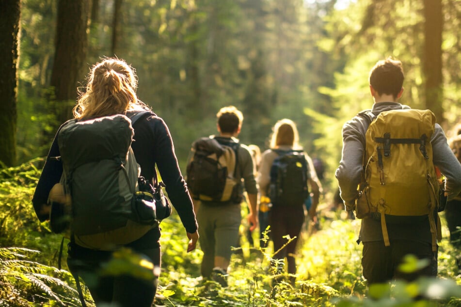 Viele Gebiete in Sachsen und Thüringen sind von Zecken betroffen.
