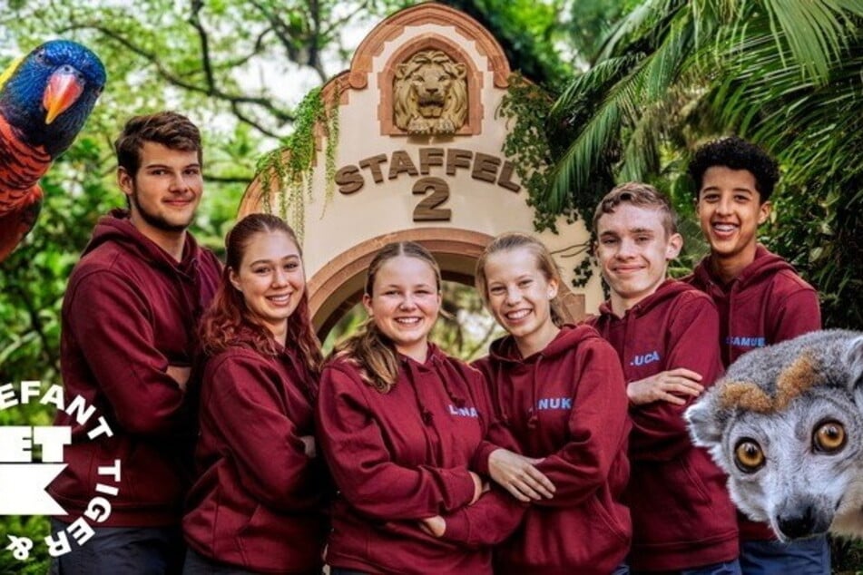 Emilio, Leonie, Lina, Anuk, Luca und Samuel (v.l.) schauen ab heute in der MDR-Serie "Elefant, Tiger &amp; Kids" hinter die Zookulissen.