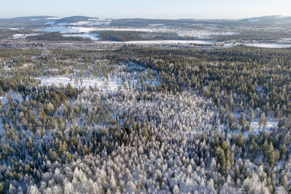 This picture taken on March 6, 2024 shows plains above arctic circle near Kiruna in Sweden.