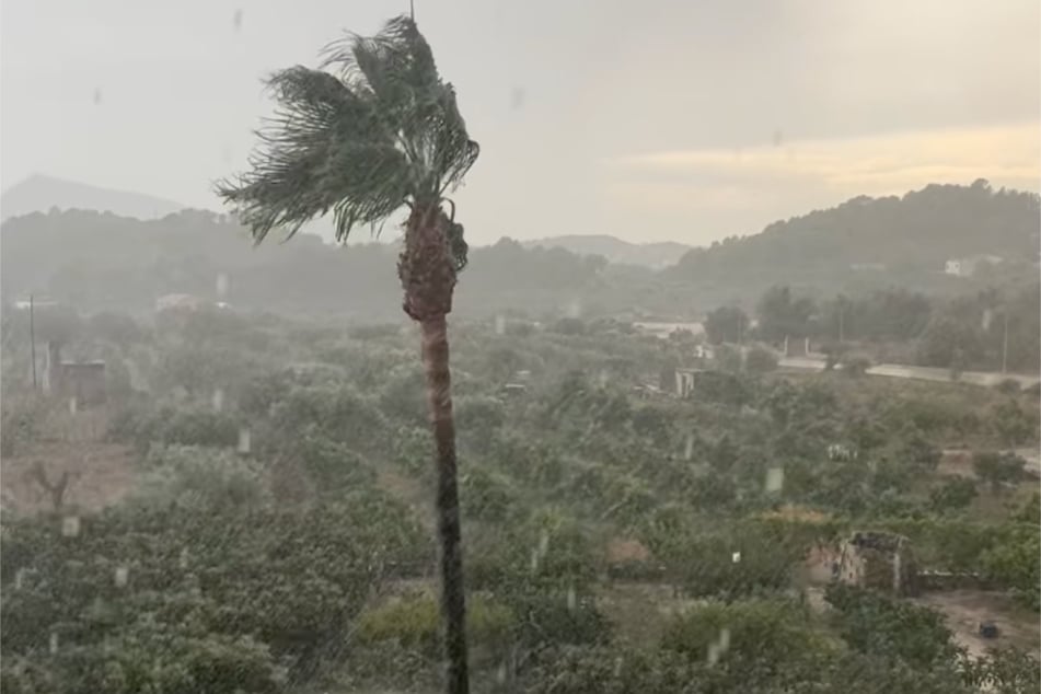 Hier schien die südspanische Welt noch halbwegs in Ordnung zu sein, doch kurz nach dieser Aufnahme krachte es gewaltig.