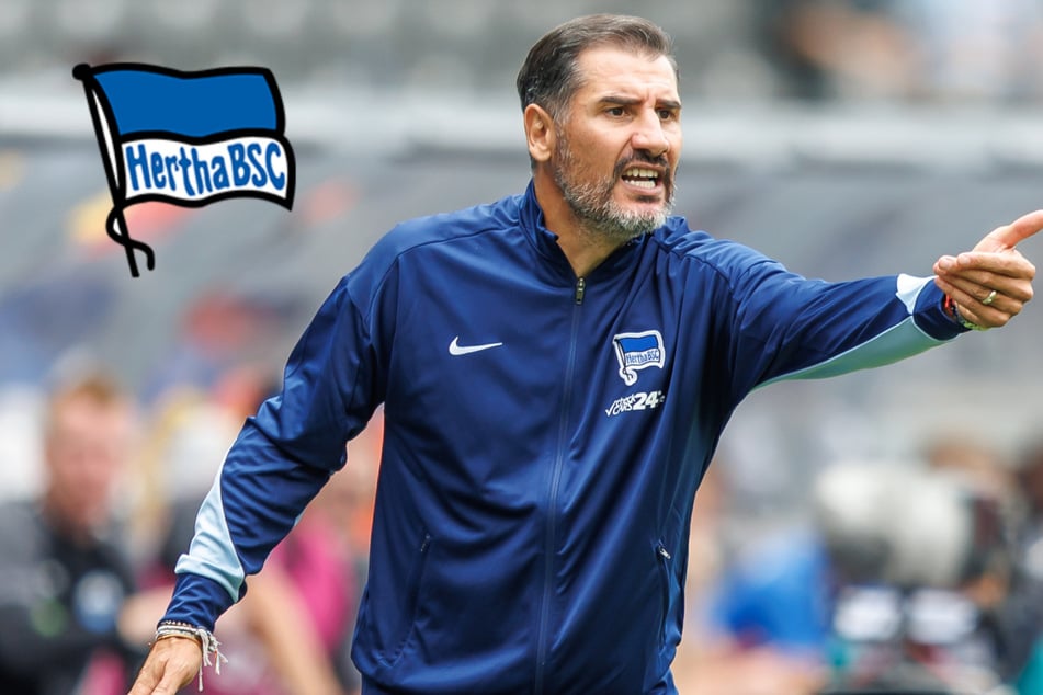 Hertha jetzt schon unter Druck, aber HSV "ein Duell auf Augenhöhe"