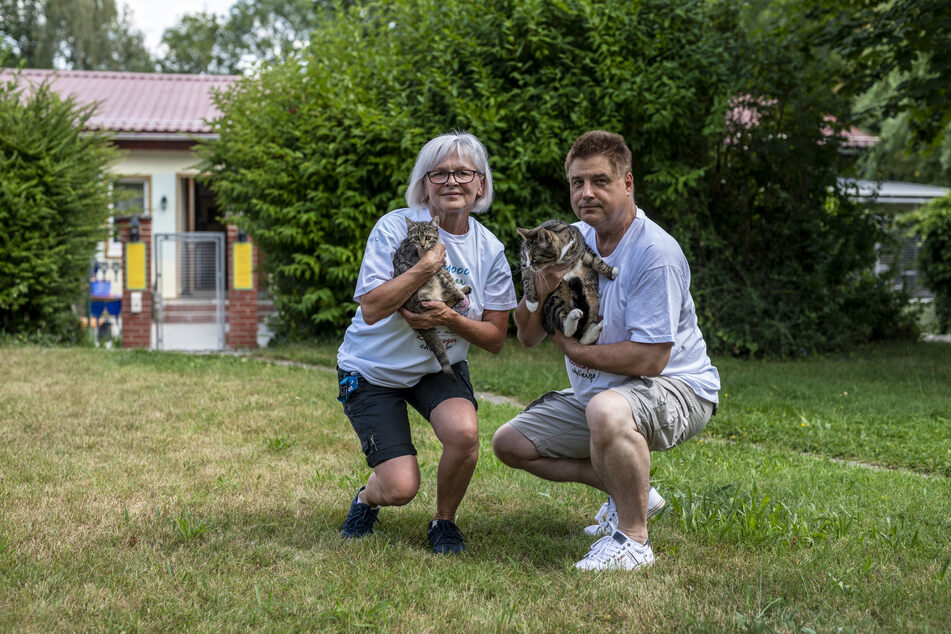Tierheimleiterin Regina Otto (61) und Schatzmeister Thomas Weigel (51) machen Kniebeugen mit Katze Püppi und Kater Percy (6).