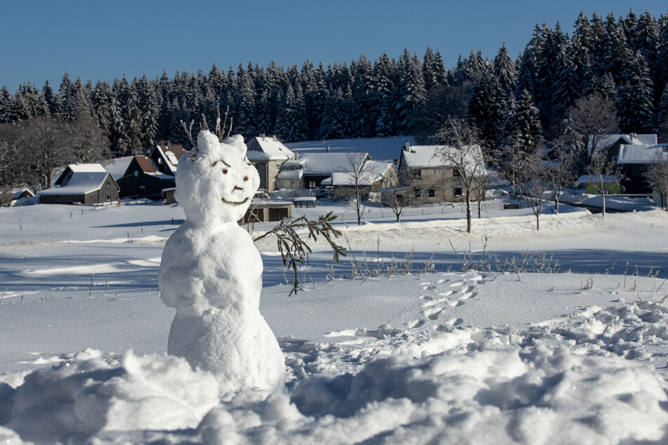 Winterliche Landschaft am Rennsteig im Thüringer Wald (Archivbild).